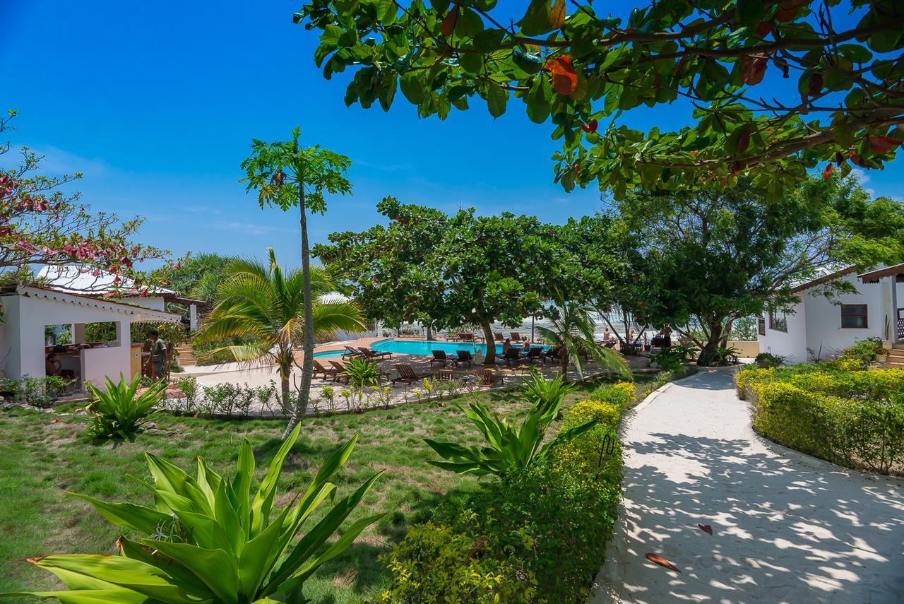 Warere Beach Nungwi Bagian luar foto
